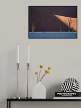 Deadvlei Poster och Canvastavla