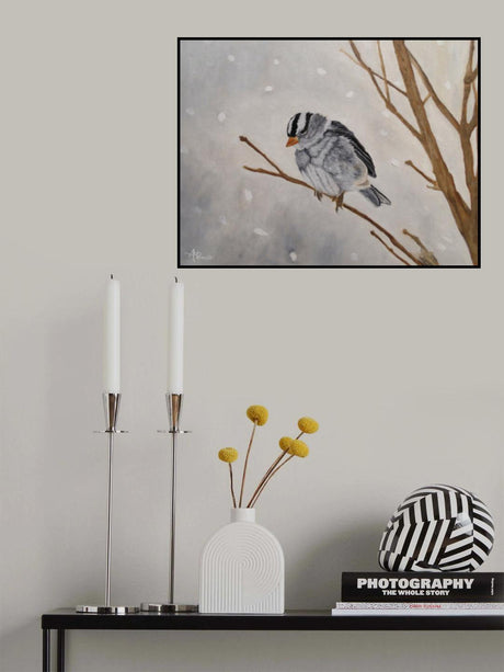 Blizzard Cutie Poster och Canvastavla