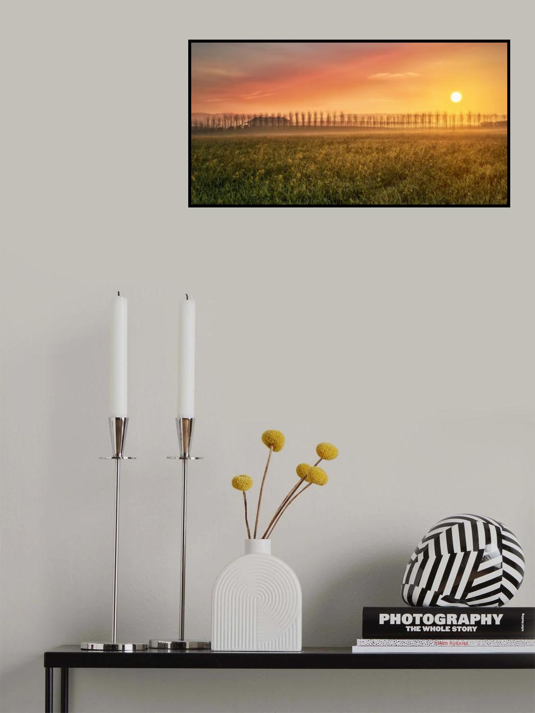La luz de cada amanecer... Poster och Canvastavla