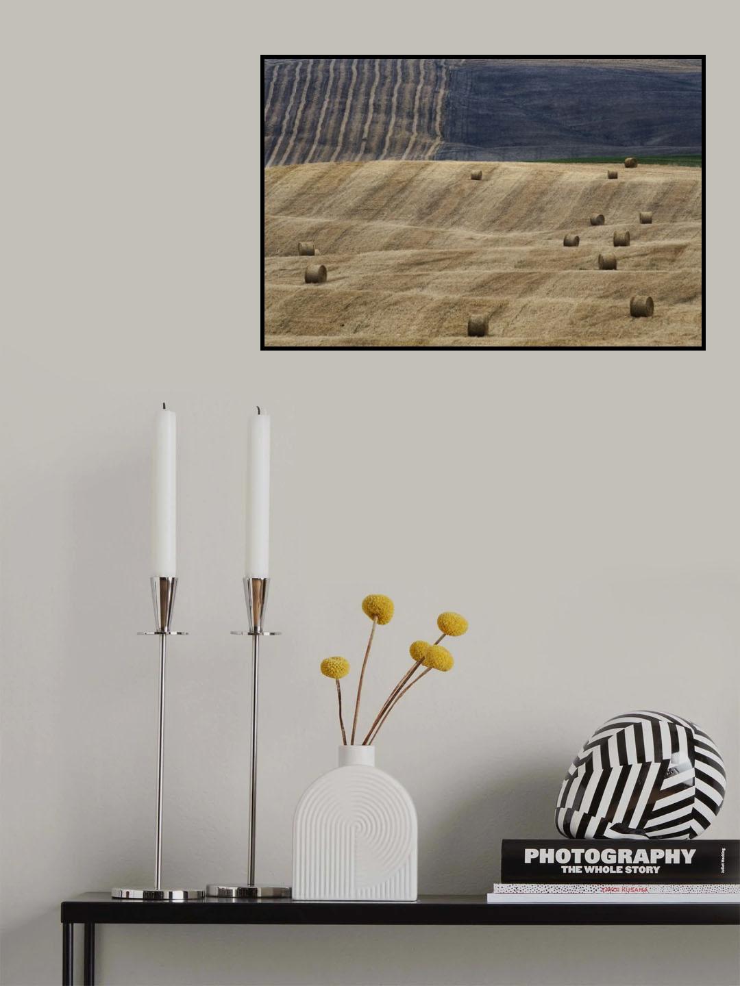 Felicita Pura Poster och Canvastavla