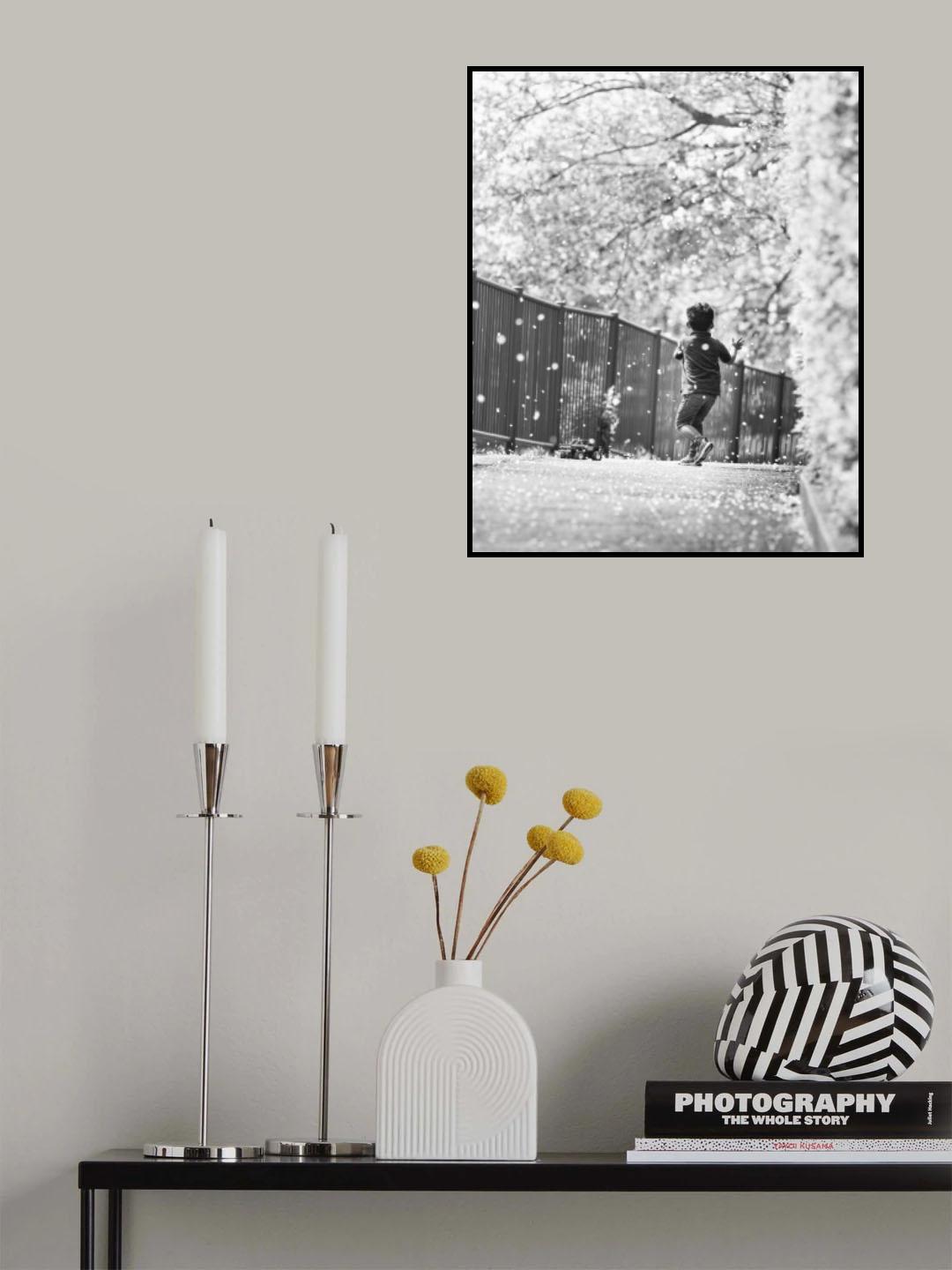 Falling cherry blossoms Poster och Canvastavla