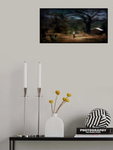 Poster och Canvastavla