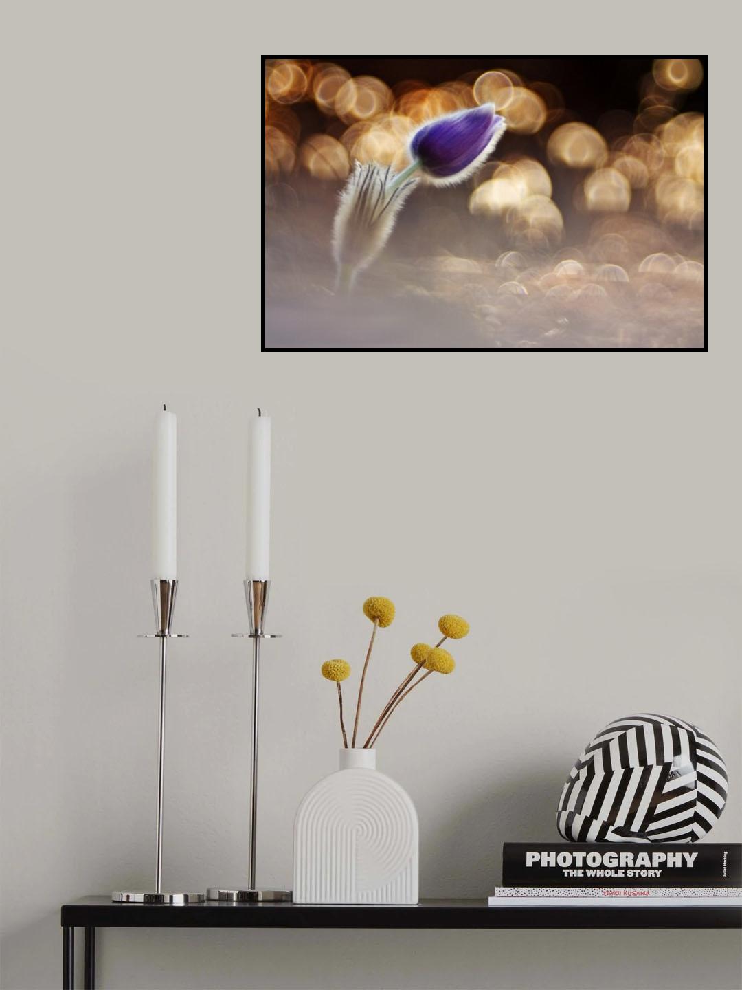 ooo Poster och Canvastavla