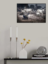 A scene in a mundari cattle camp-I - South Sudan Poster och Canvastavla