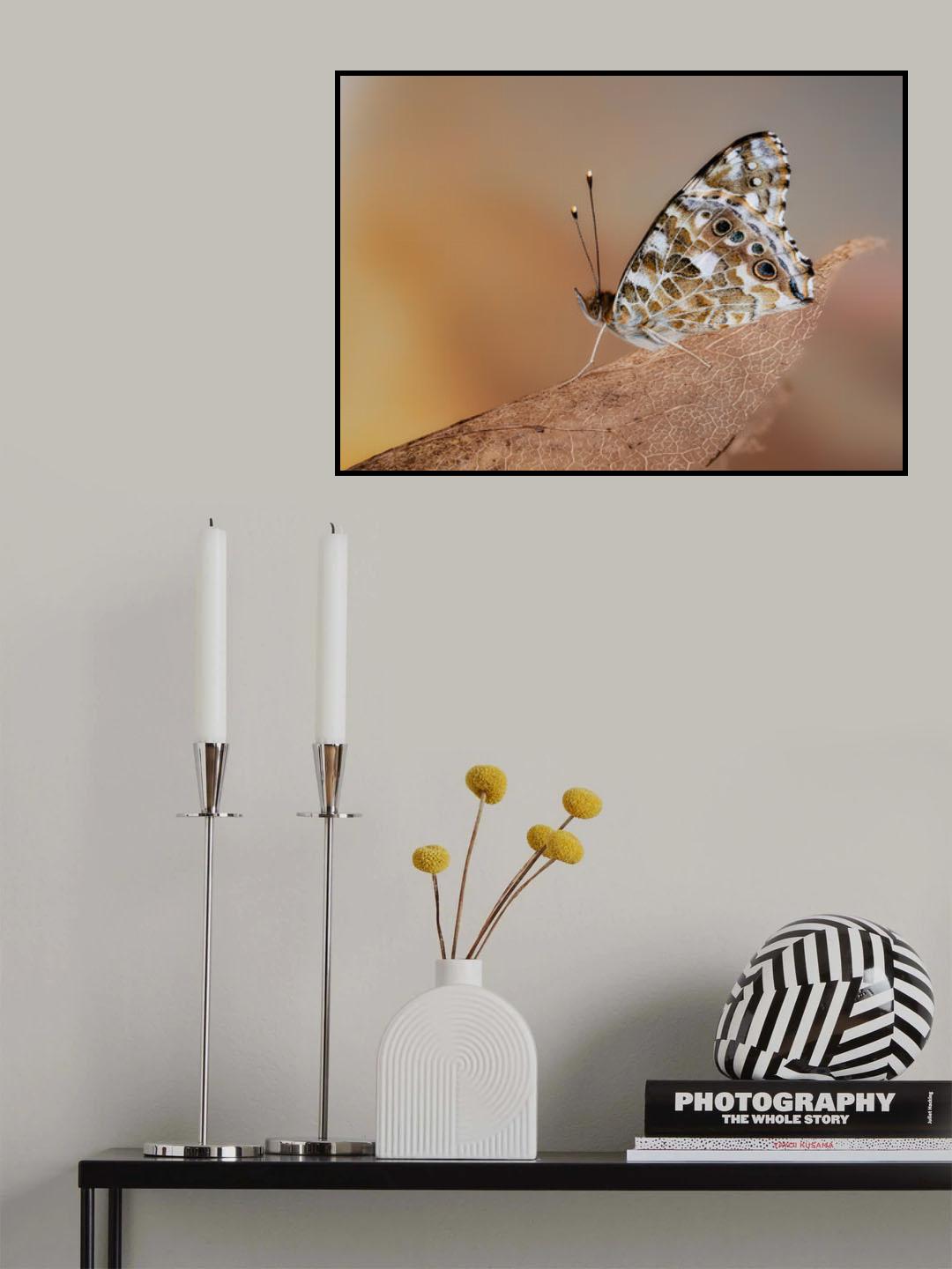 Painted lady in the morning light Poster och Canvastavla