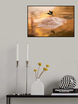 Blooming Poster och Canvastavla