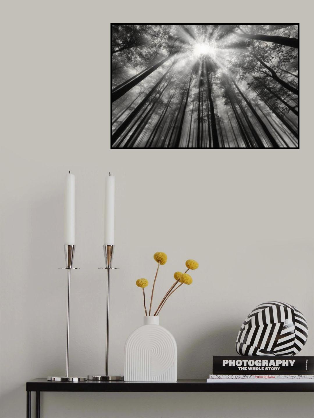 To the light Poster och Canvastavla