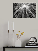 To the light Poster och Canvastavla