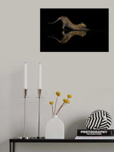 Leopard style yoga Poster och Canvastavla
