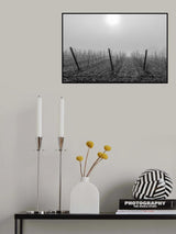 Vine perfume Poster och Canvastavla
