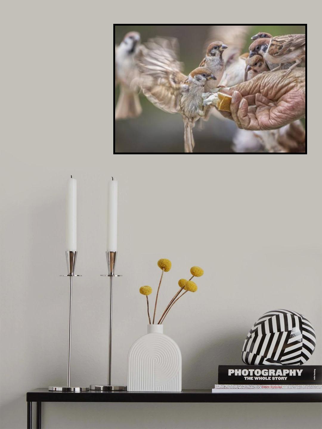 Hot Contact Poster och Canvastavla
