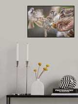 Hot Contact Poster och Canvastavla