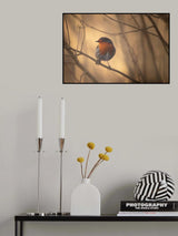 Robin Poster och Canvastavla