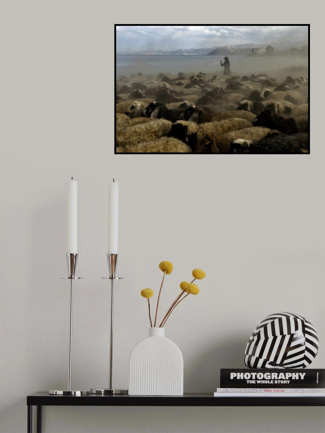 sepherdess Poster och Canvastavla