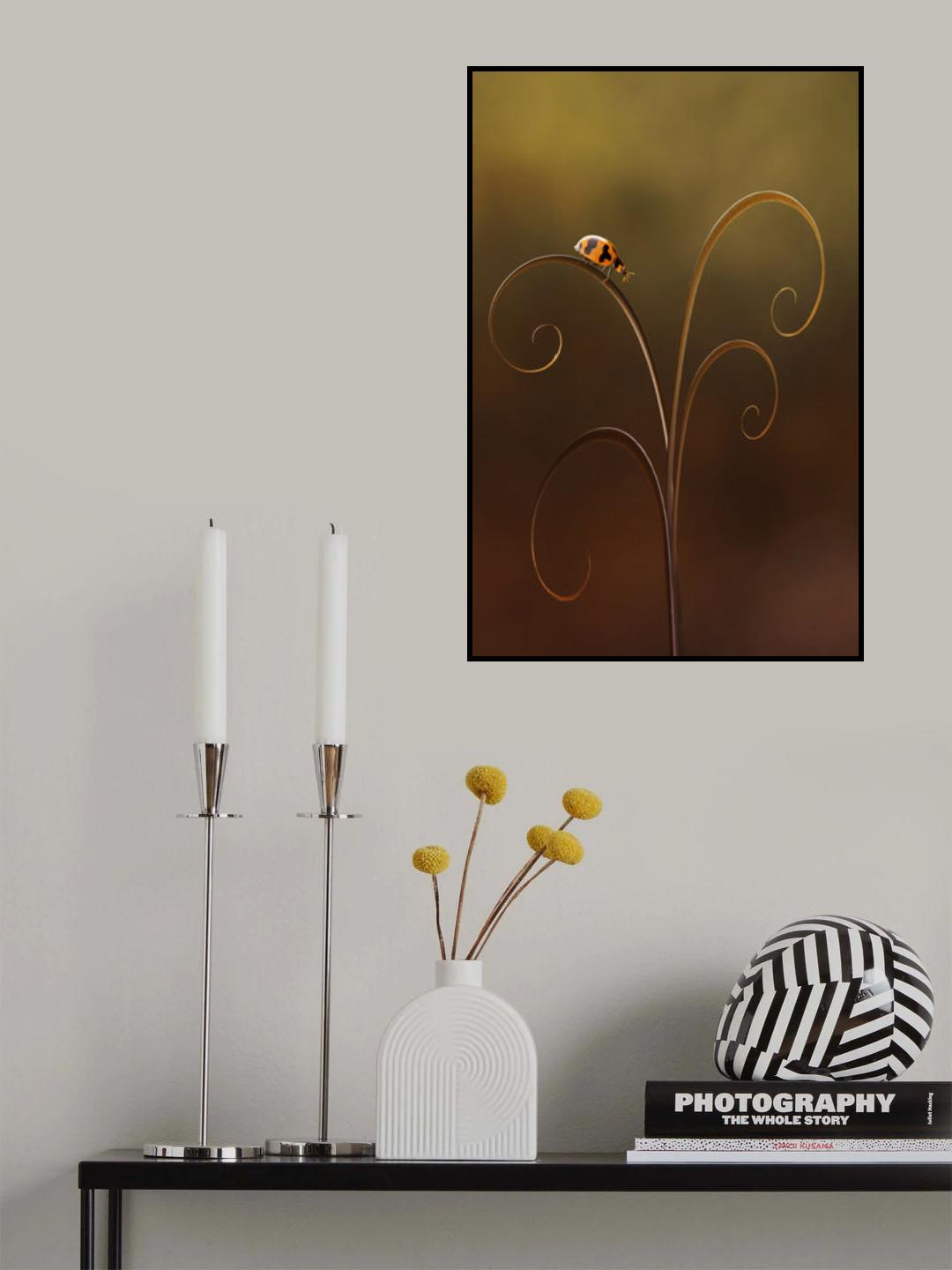 Ladybug Poster och Canvastavla