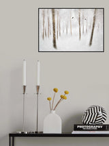 Winter Birches Poster och Canvastavla