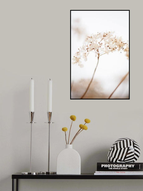 Soft dried flower_brown Poster och Canvastavla