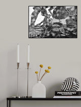 fish Poster och Canvastavla