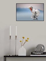 Dalmatian pelican at dawn Poster och Canvastavla