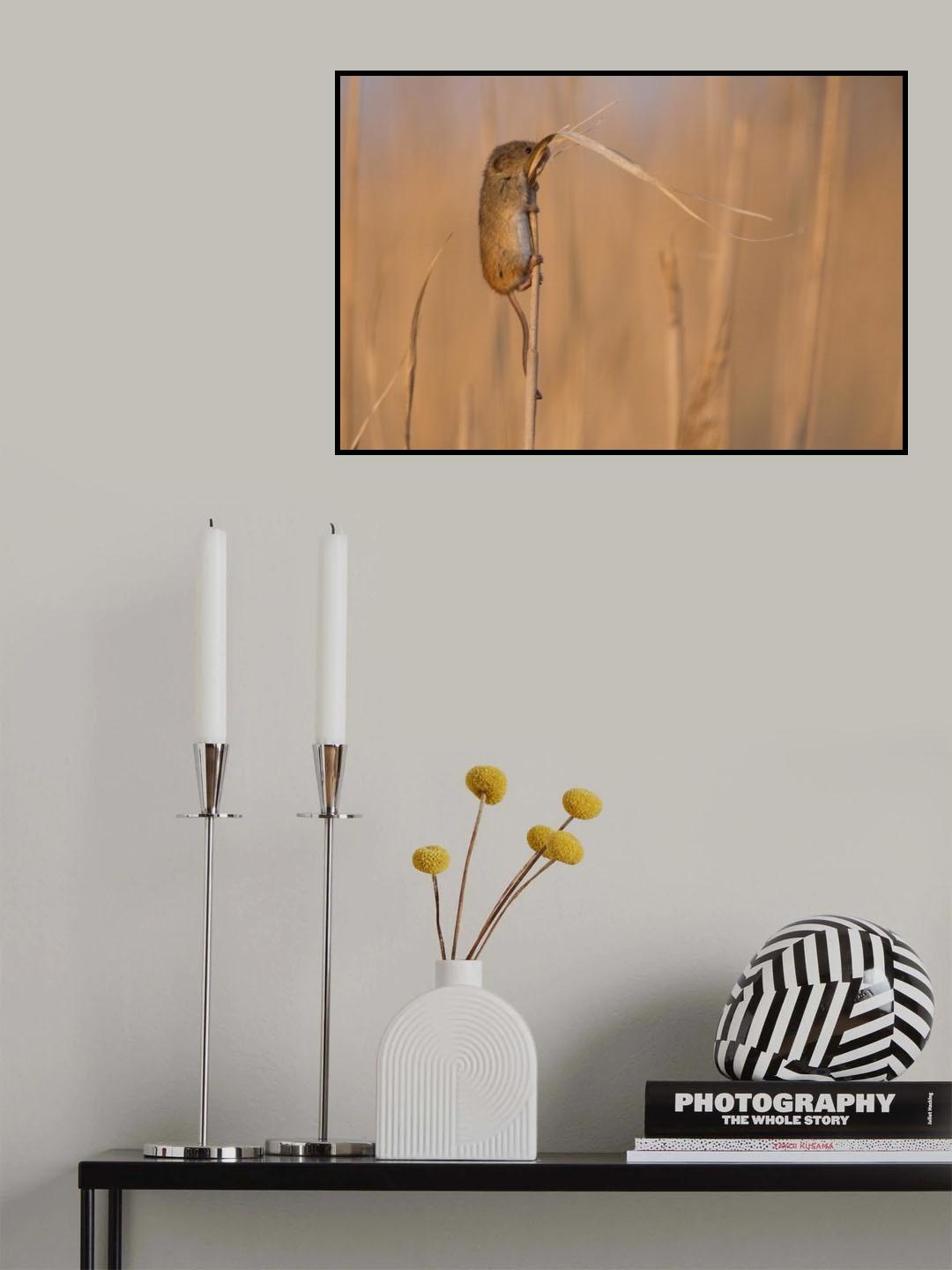 Life-saving shore Poster och Canvastavla