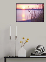 Purple Sunset Poster och Canvastavla