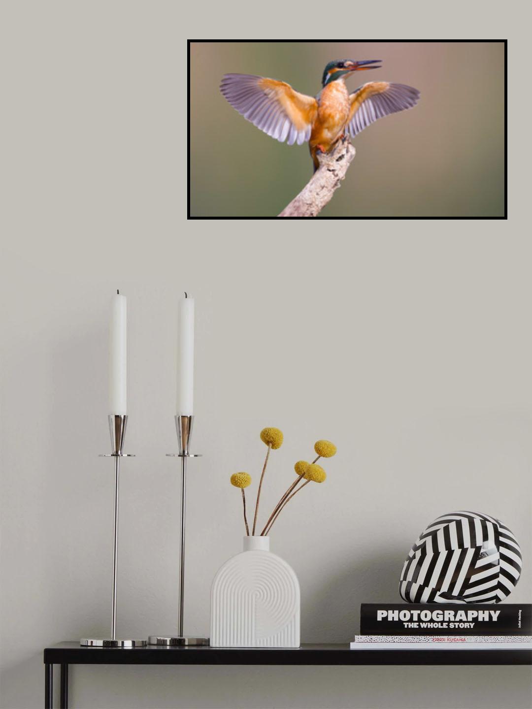 Kingfisher Poster och Canvastavla
