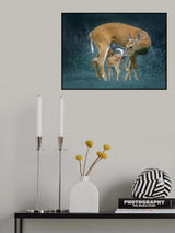 Love Poster och Canvastavla