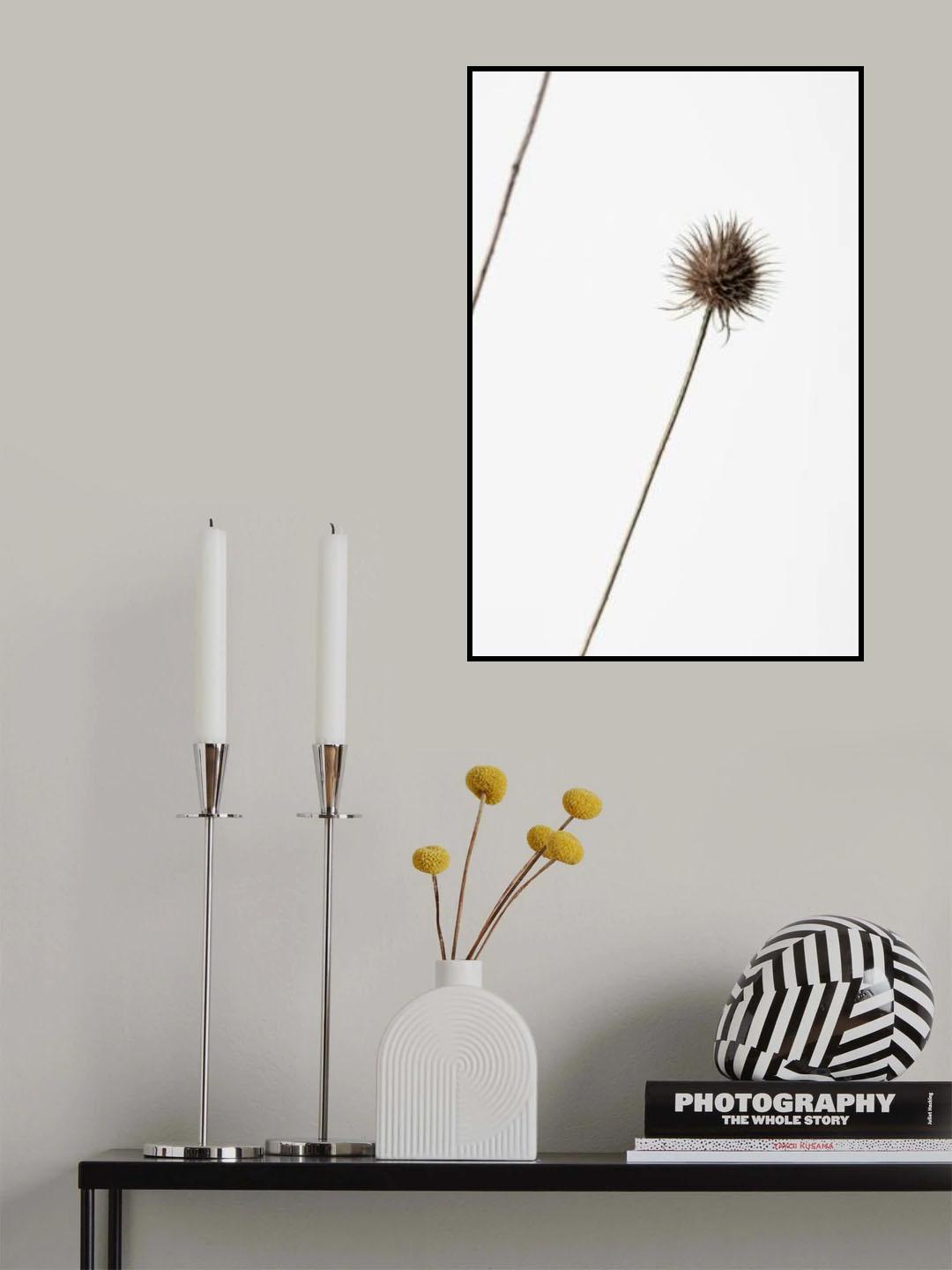 Thistle Grey 08 Poster och Canvastavla