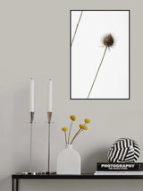 Thistle Grey 08 Poster och Canvastavla
