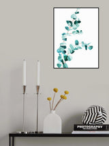 Eucalyptus II Poster och Canvastavla