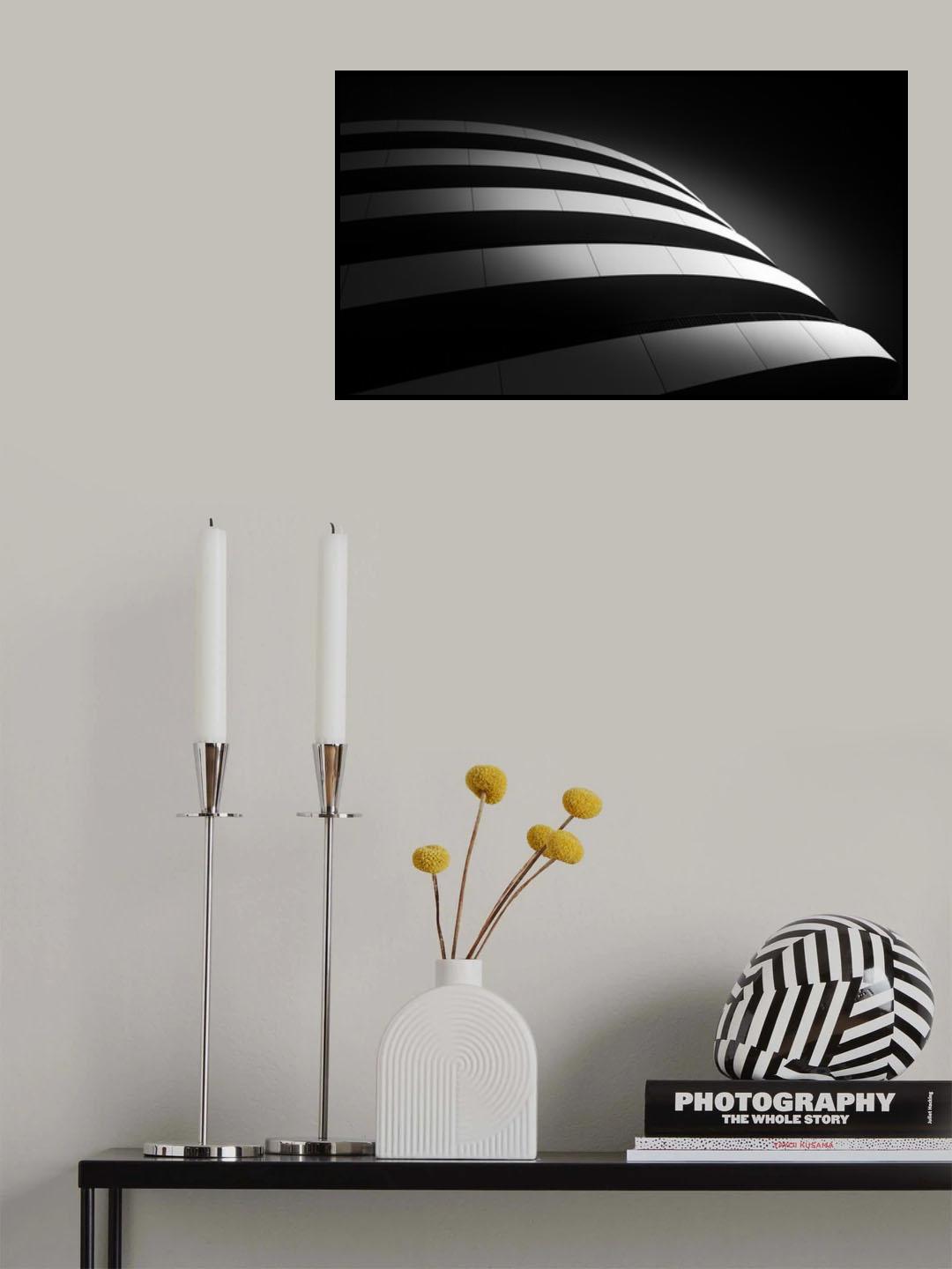 black &amp; white Poster och Canvastavla