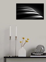 black &amp; white Poster och Canvastavla