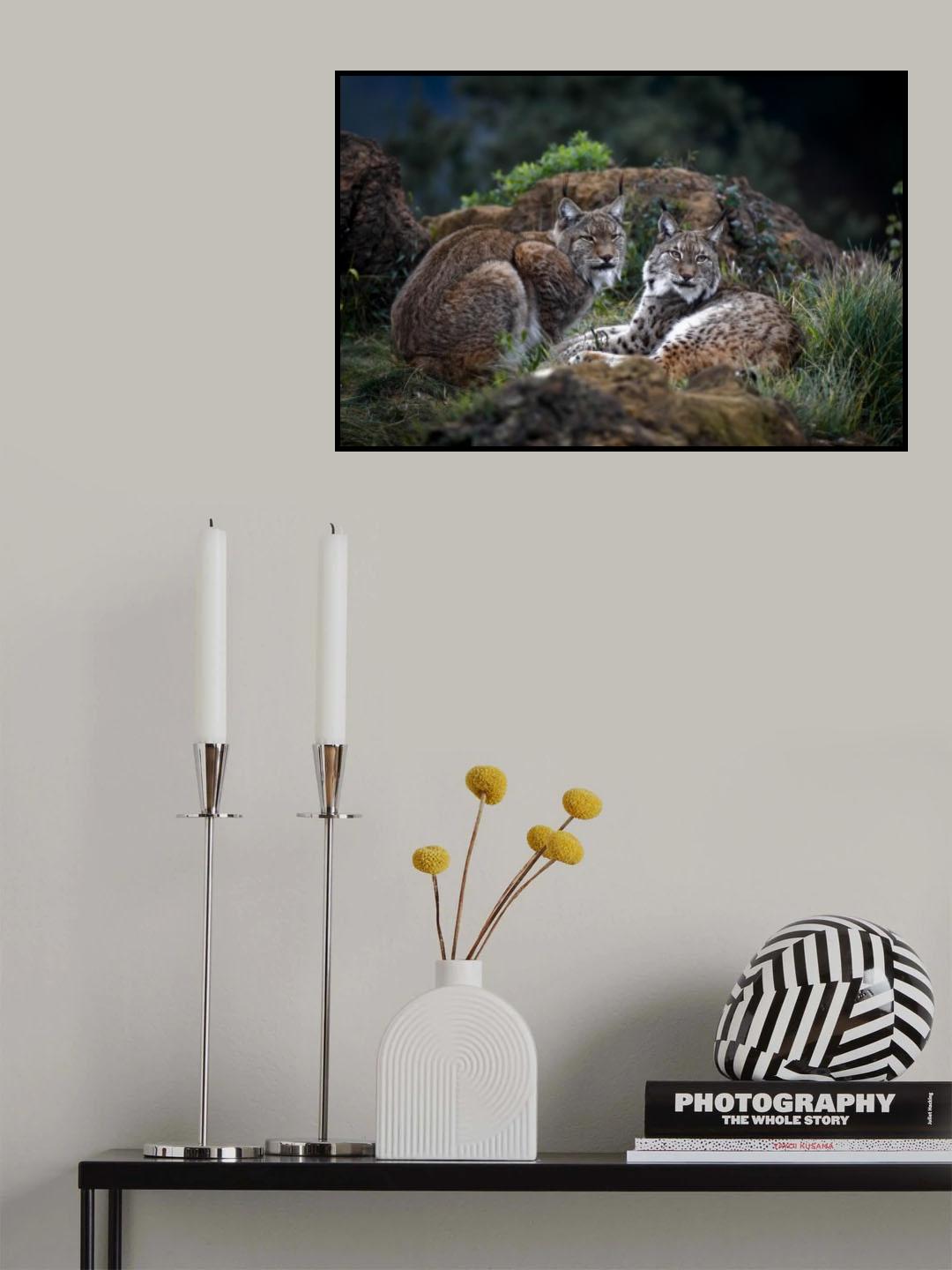 Moonschein Lovers Poster och Canvastavla