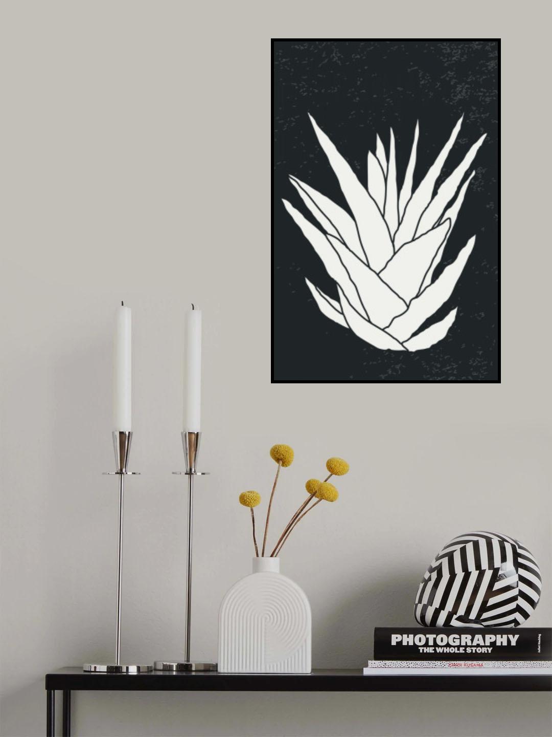 Agave #2 Poster och Canvastavla