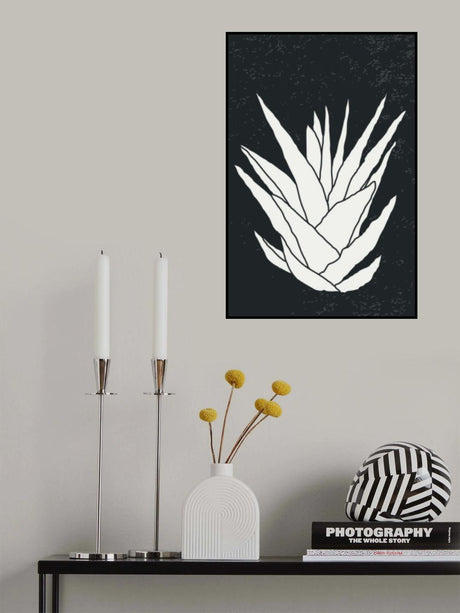 Agave #2 Poster och Canvastavla