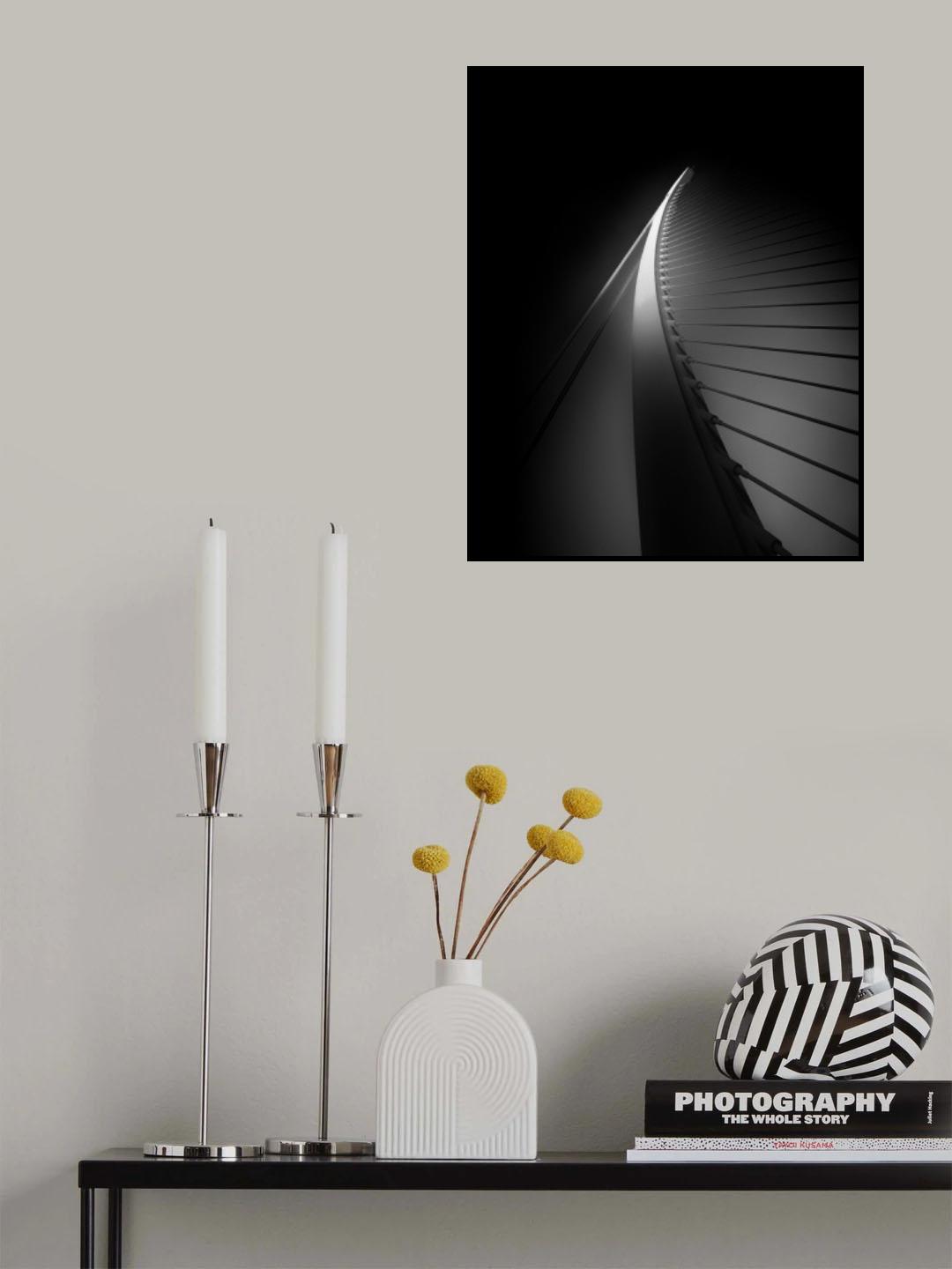 Light contrasts Poster och Canvastavla