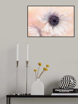 Globe Thistle Poster och Canvastavla