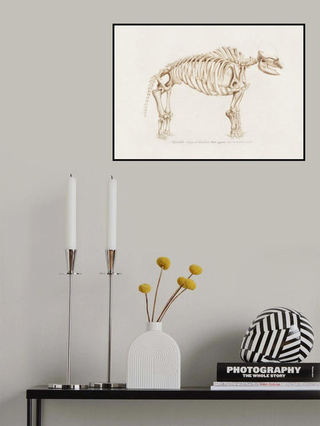 Mamoth (mammut) Poster och Canvastavla