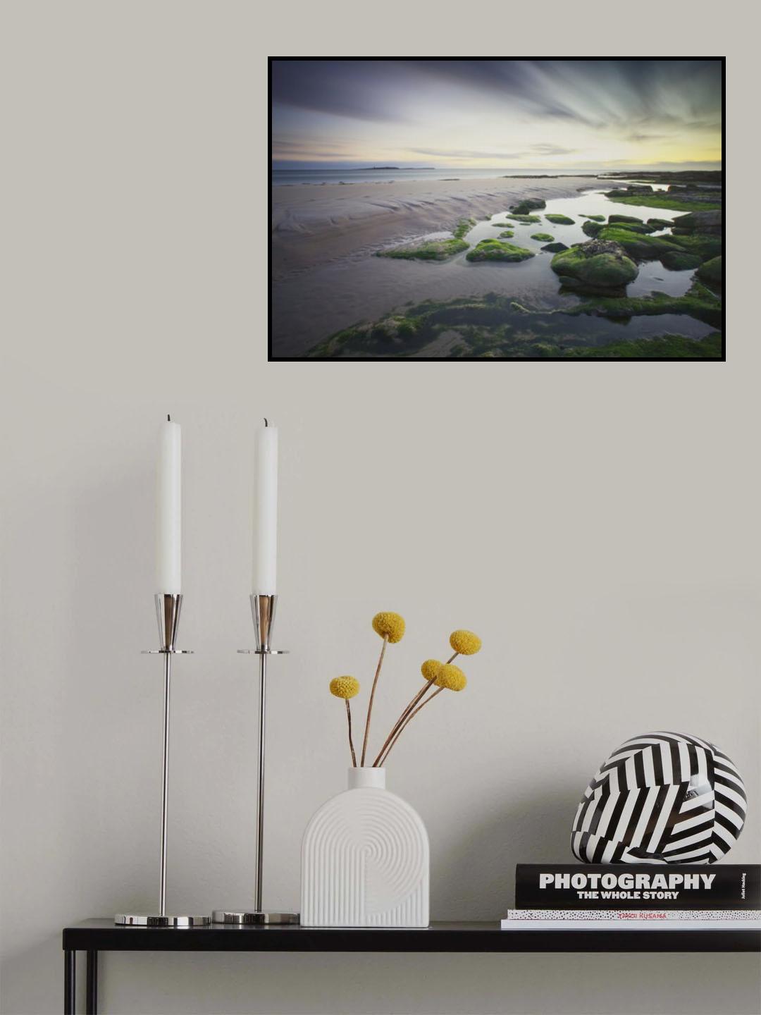 Dawn over Seahouses Beach Poster och Canvastavla