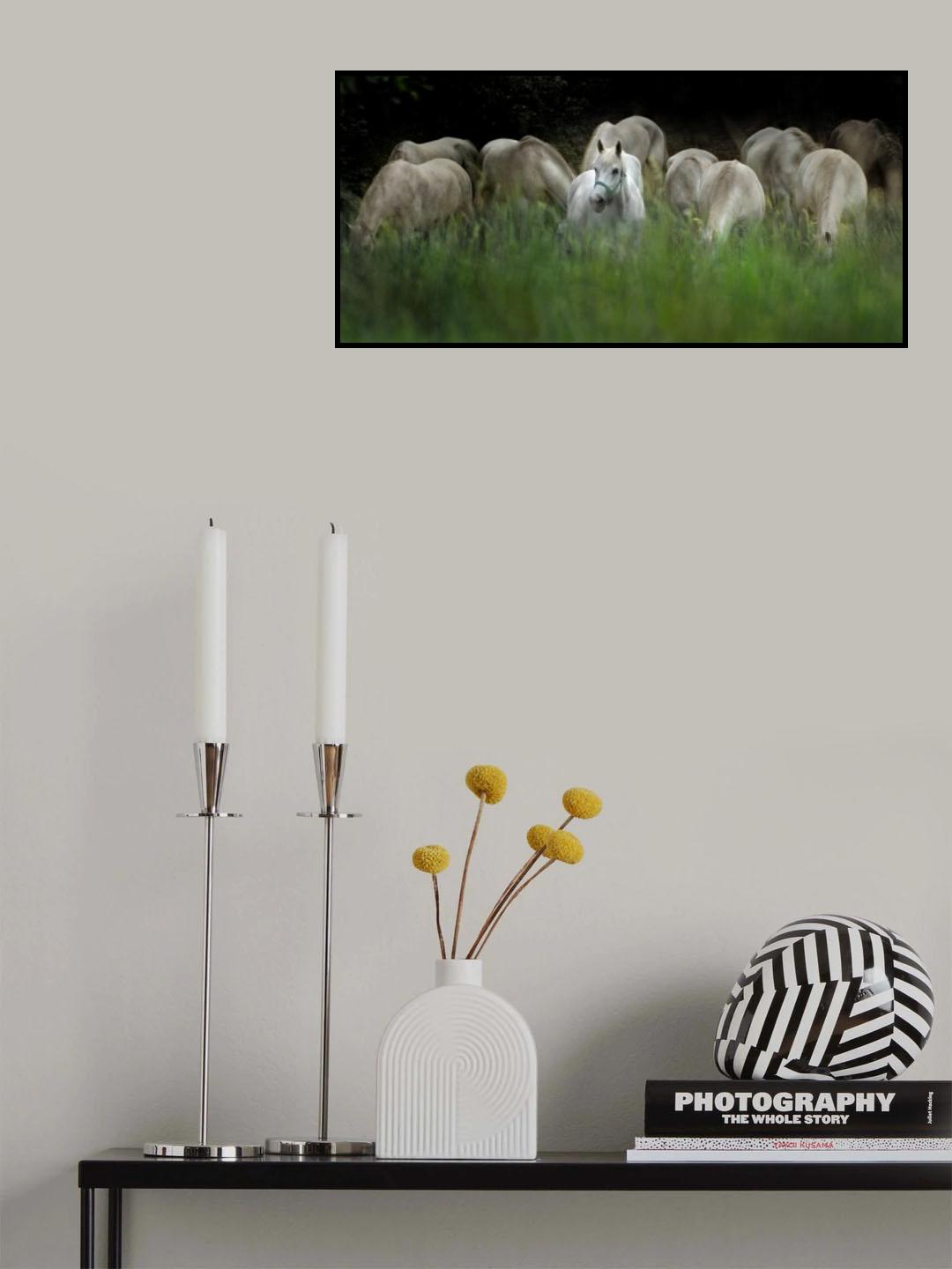 LEADER Poster och Canvastavla
