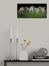 LEADER Poster och Canvastavla