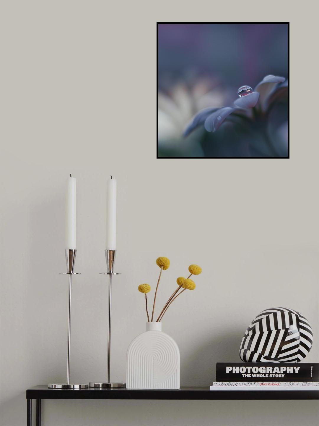 Invisible Soul... Poster och Canvastavla
