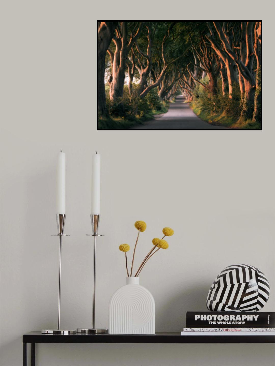 Red Avenue Poster och Canvastavla