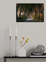 Red Avenue Poster och Canvastavla