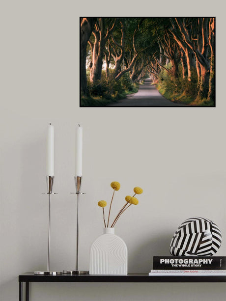 Red Avenue Poster och Canvastavla