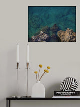 seascape and rocks Poster och Canvastavla