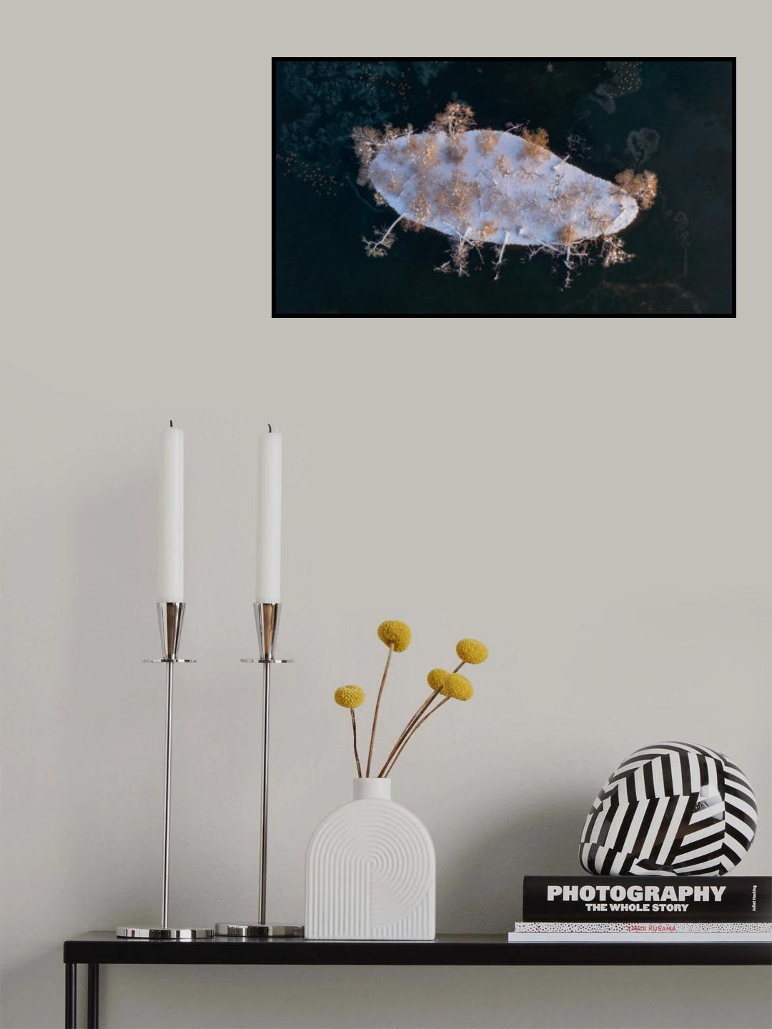 Snow Island Poster och Canvastavla