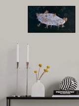 Snow Island Poster och Canvastavla