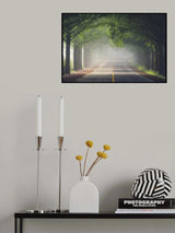 Foggy way Poster och Canvastavla
