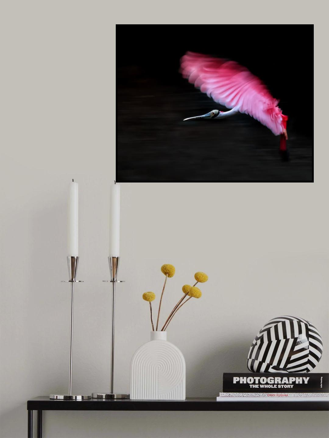 Flying Rose Poster och Canvastavla